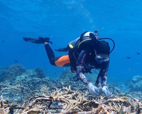 post 1763368123 564517560 18084106910490526 7617221479072347192 n