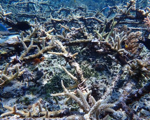 post 1763368123 565176776 18084106919490526 4061205214062768152 n